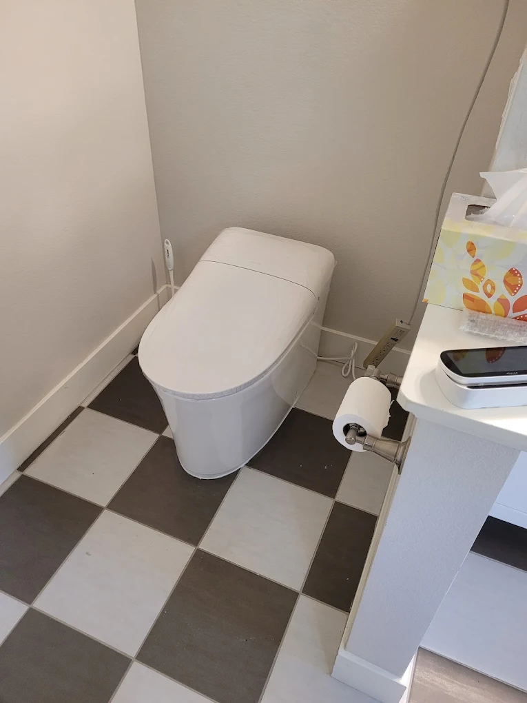 Modern dual-flush toilet and subfloor flange replacement in Pottsville AR